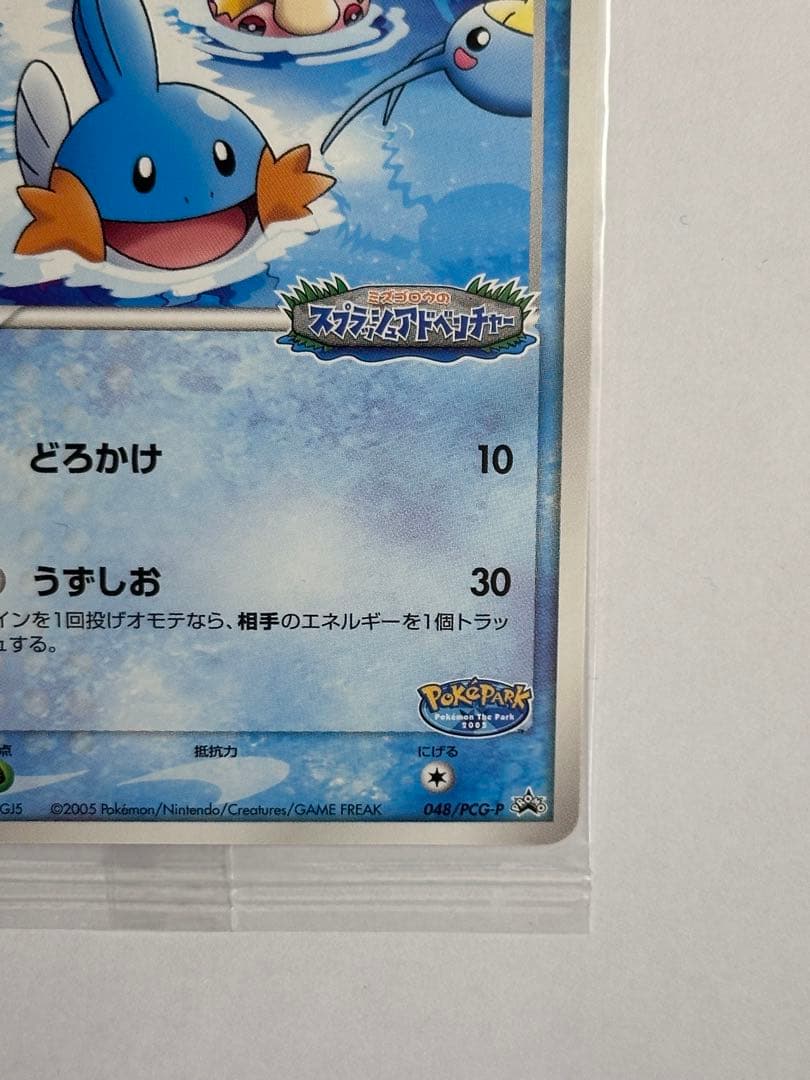 未開封　ポケパークのミズゴロウ　ポケモンカード