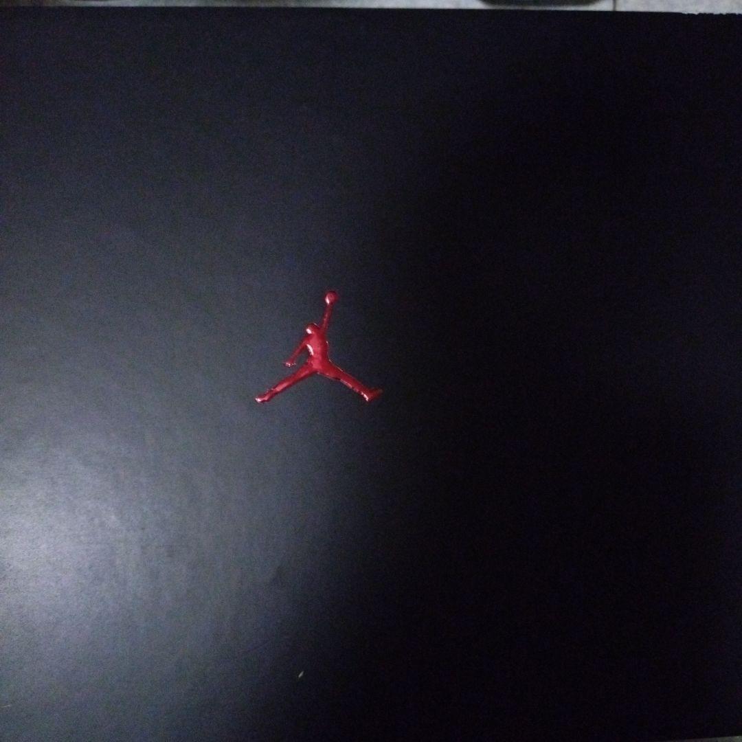 新品未使用　エア　ジョーダン４０　シカゴ　　２７cm