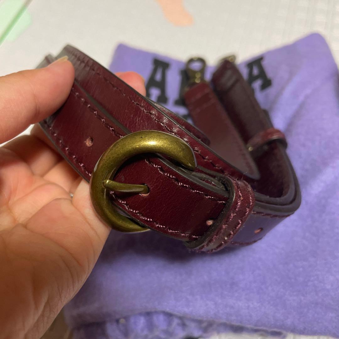 ANNA SUI ショルダーバッグ ハンドバッグ 2way レザー がま口