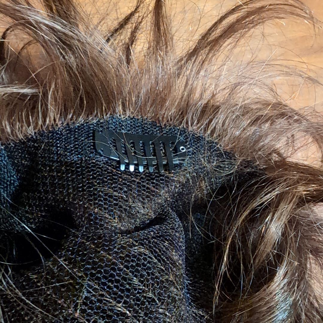 フォンテーヌ ウィッグ 試着のみ 超美品