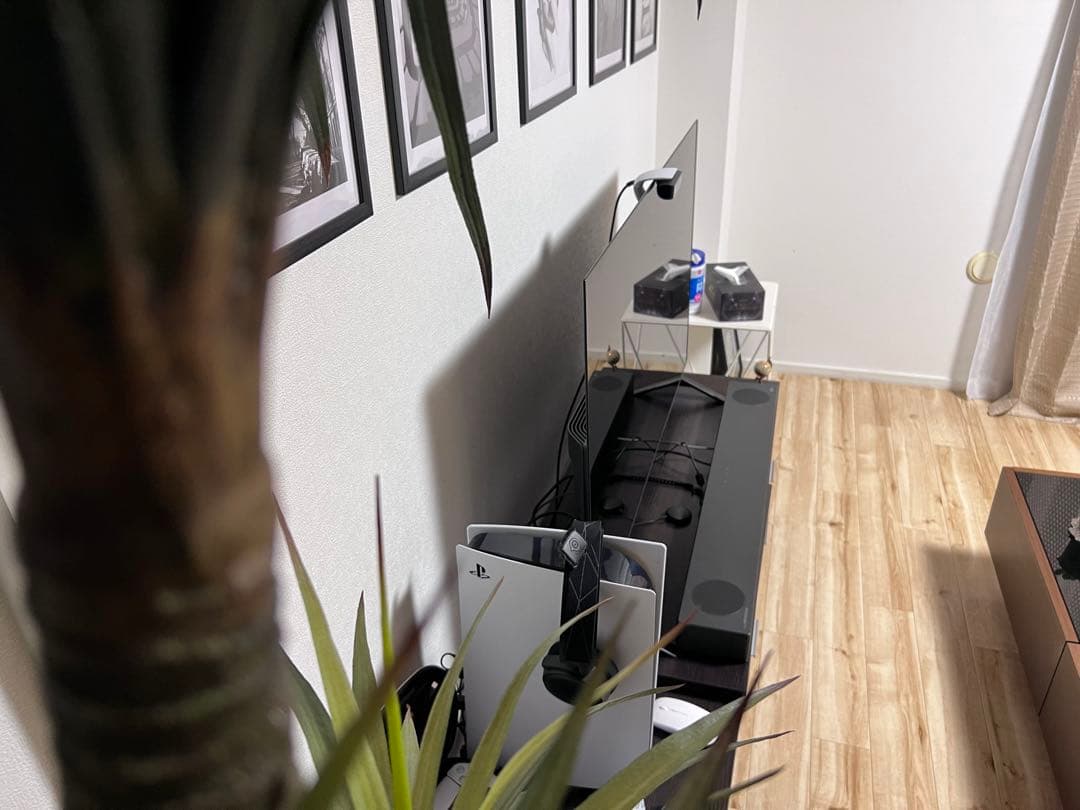 テレビ LG OLED48A1PJA BLACK