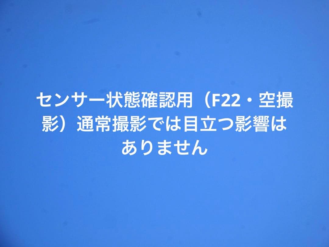 OLYMPUS PEN E-PL1s ブラック ボディ 動作確認済