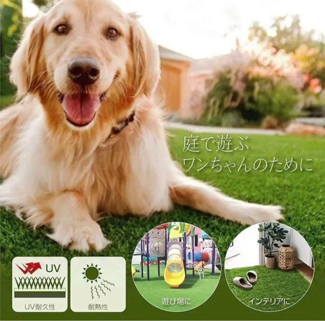 人工芝 ロール リアル 1m×20m 芝丈35mm 密度2倍固定ピン付き