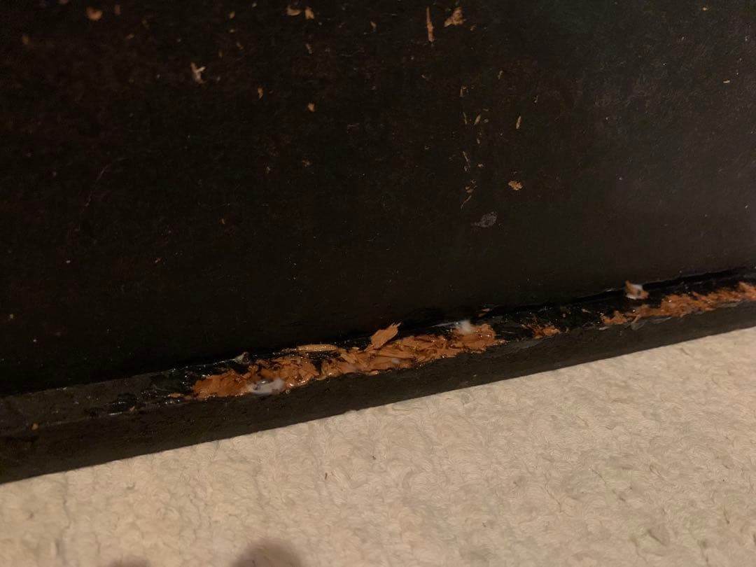 JBL C54 TRIMLINE トリムラインスピーカー