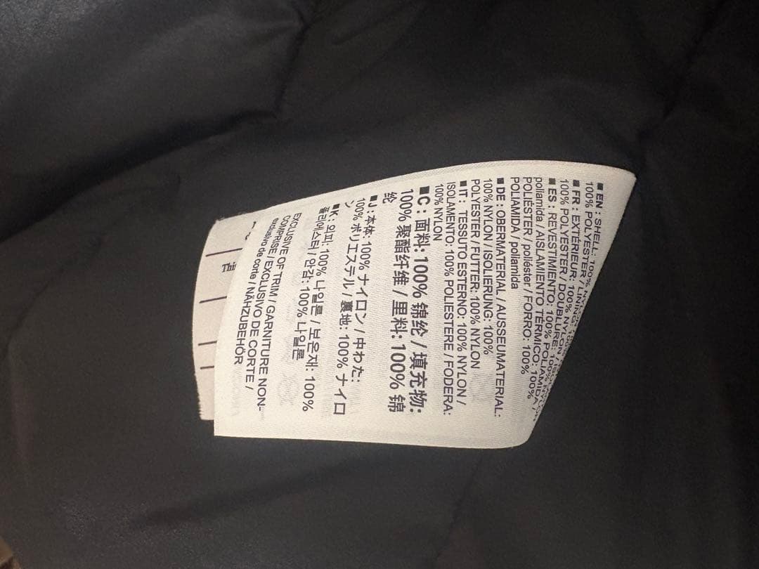 アークテリクス　アトムARフーディー