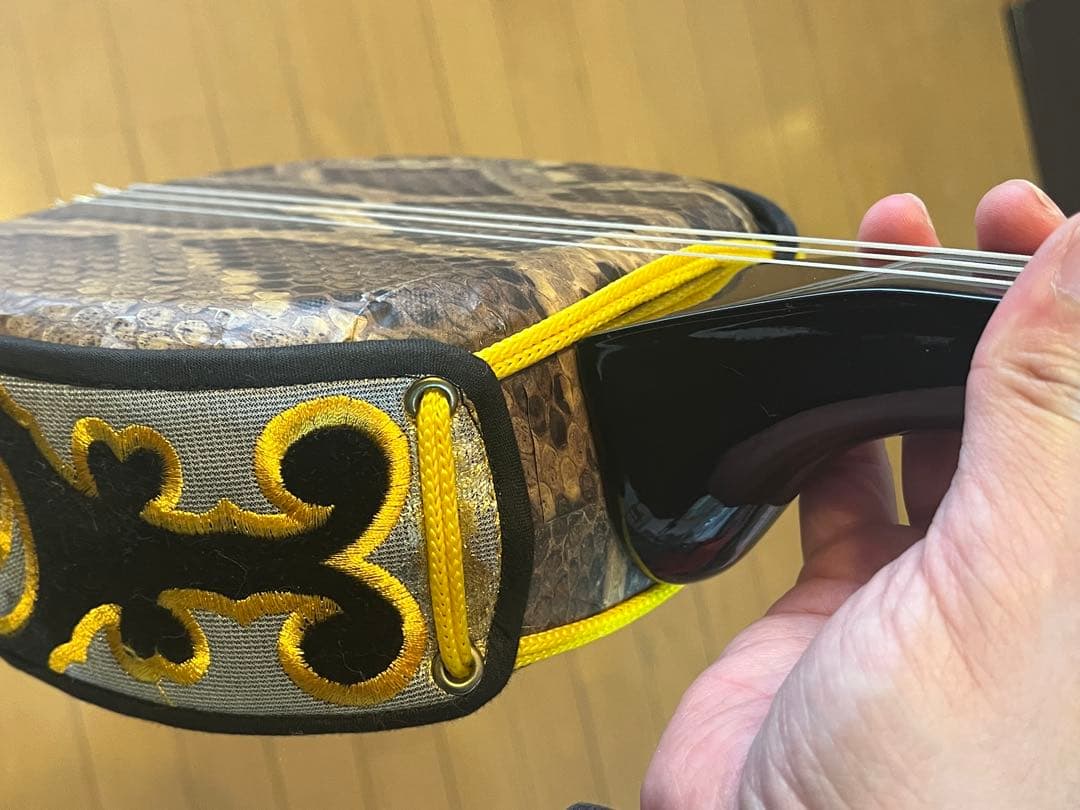 沖縄三線　人工皮　初心者セット