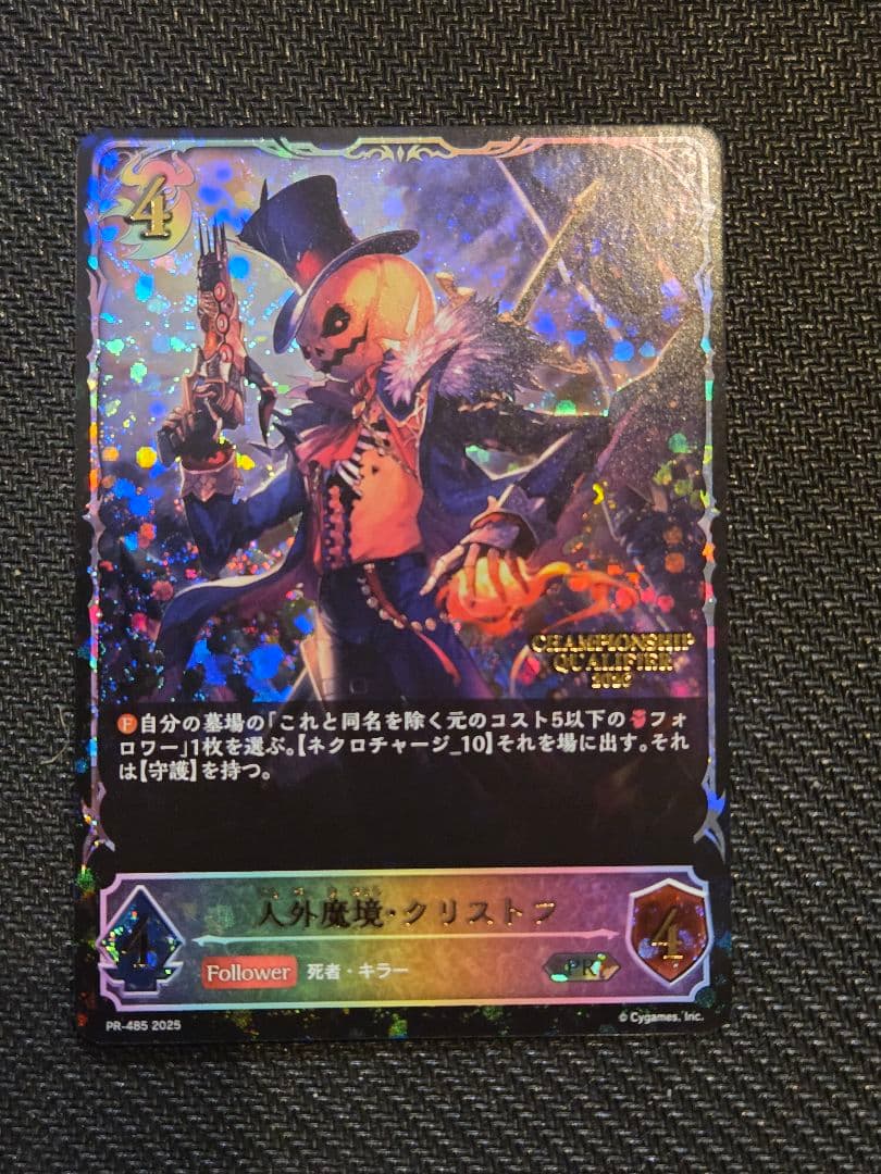 人外魔境クリストフ エリア予選プロモ