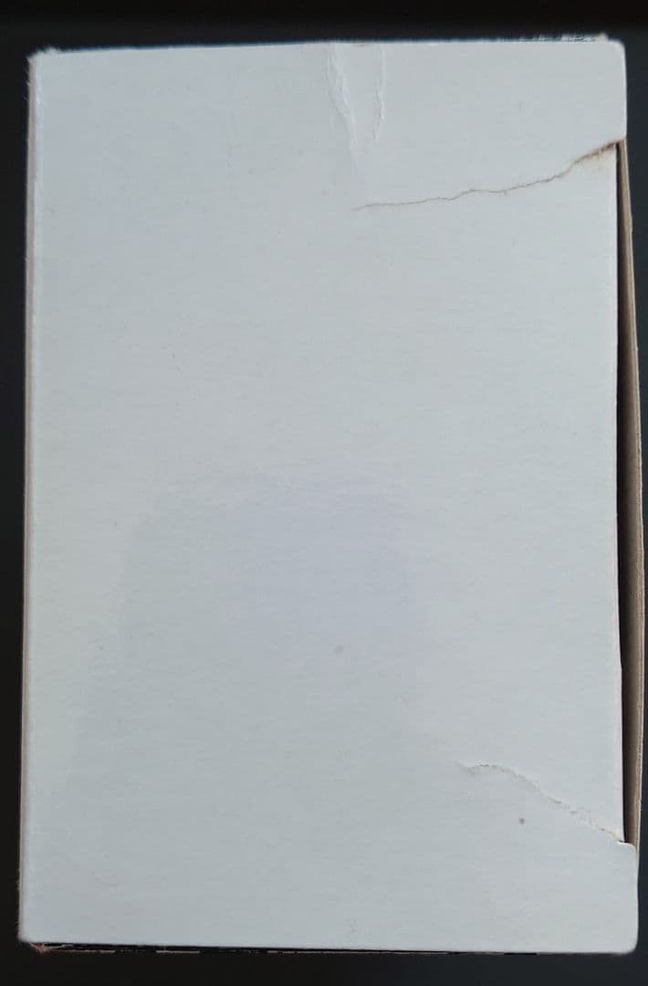 ウォークマン nw-a45hn ペールゴールド