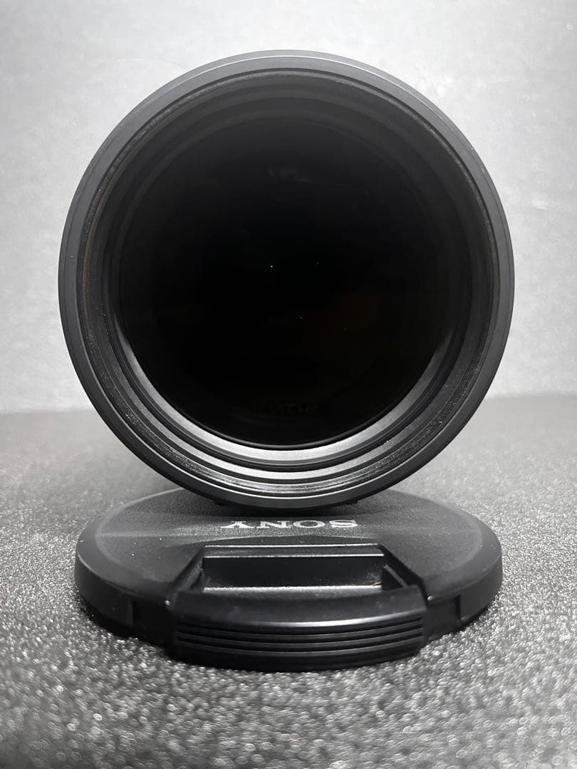 [フィルター付] SONY SEL200600G