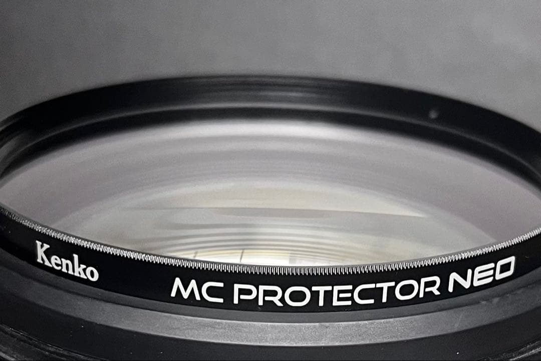 [フィルター付] SONY SEL200600G