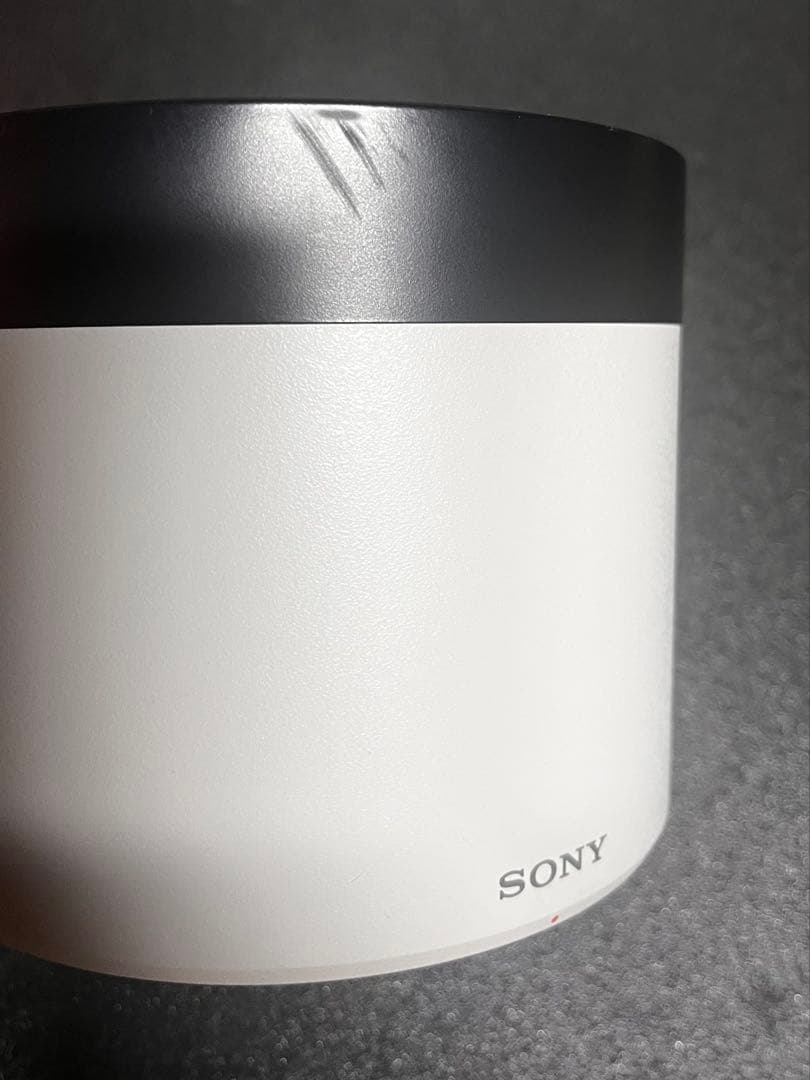 [フィルター付] SONY SEL200600G