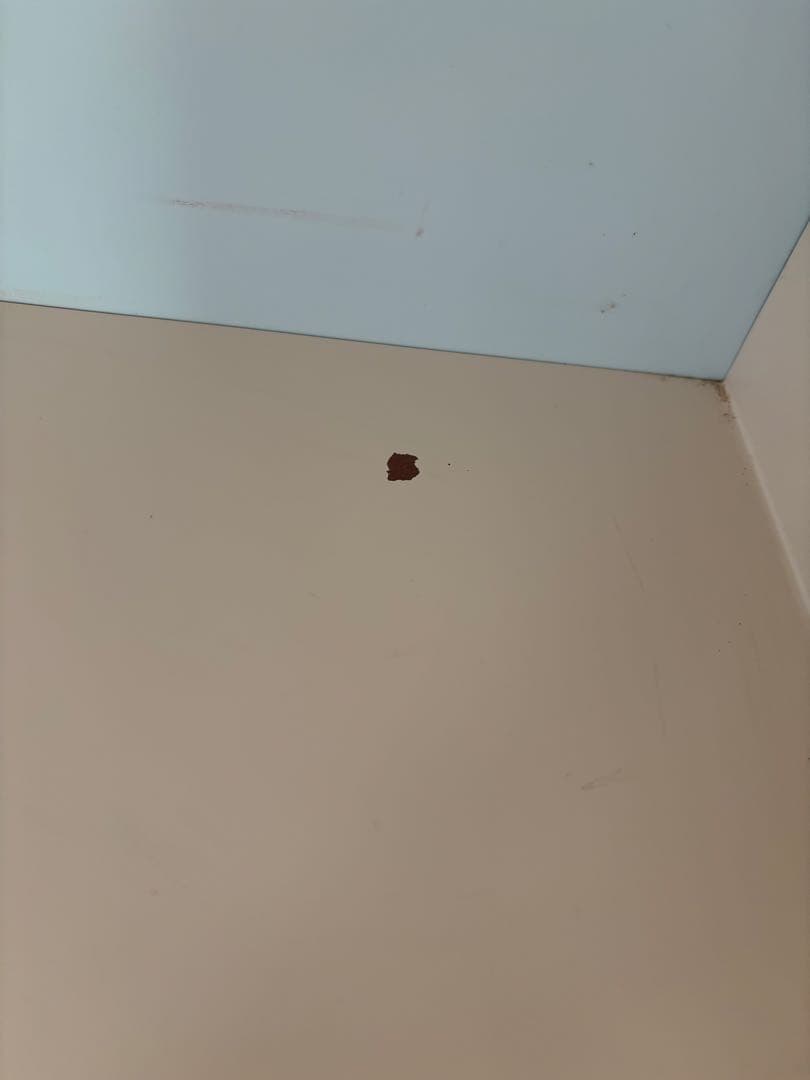 ローラアシュレイ☆DORSETドーセット☆ブックシェルフ☆本棚 レア 美品