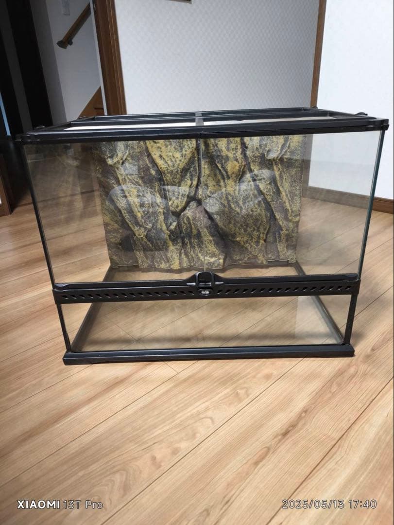 グラステラリウム6045