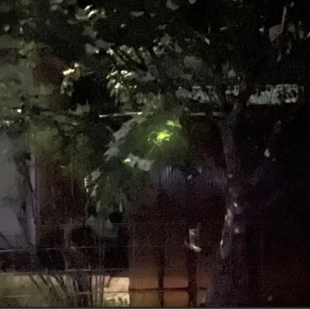 しろくま　そば殻付き実