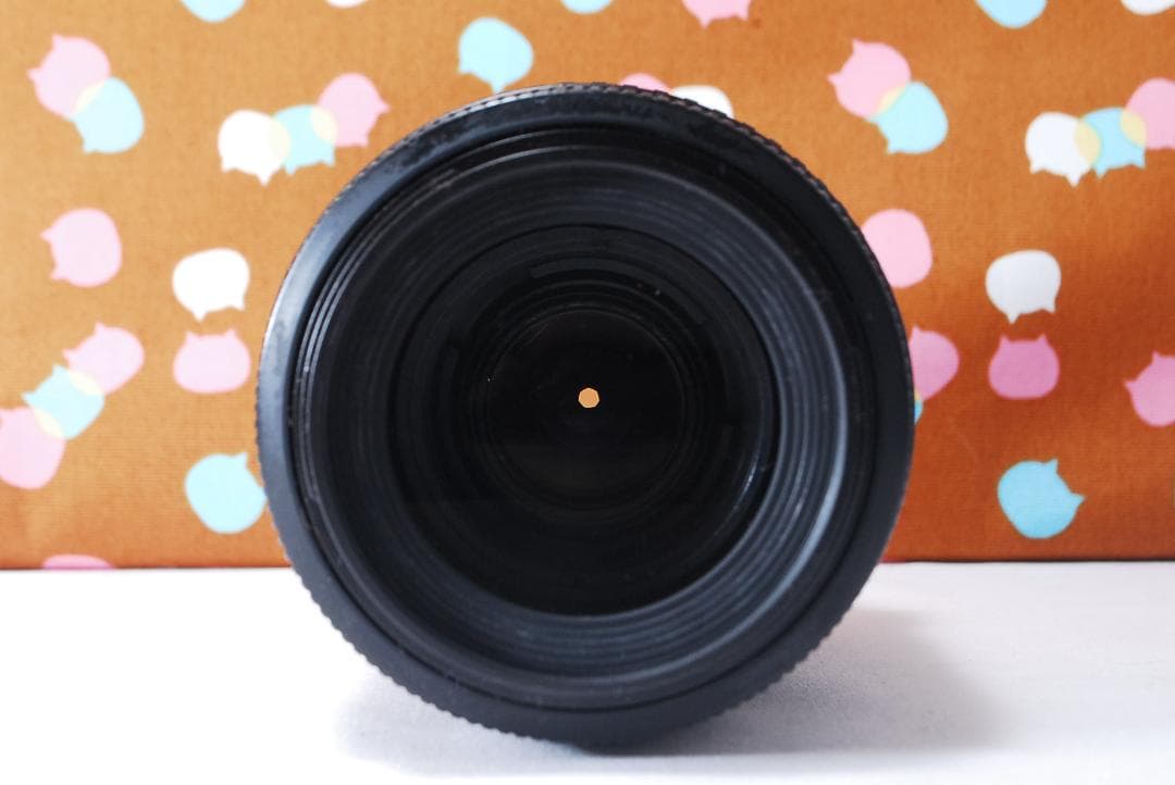 ✨望遠レンズ付き✨ショット数3295回✨Nikon D40 レンズセット