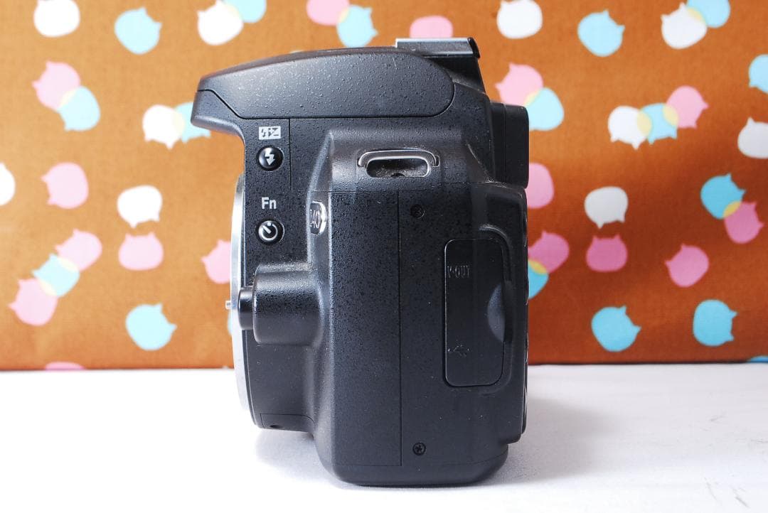 ✨望遠レンズ付き✨ショット数3295回✨Nikon D40 レンズセット