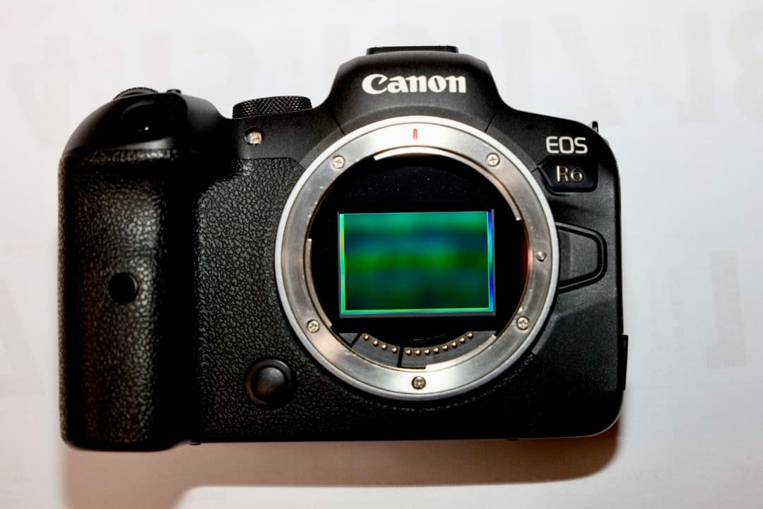 Canon EOS R6 ミラーレス一眼 本体　付属品