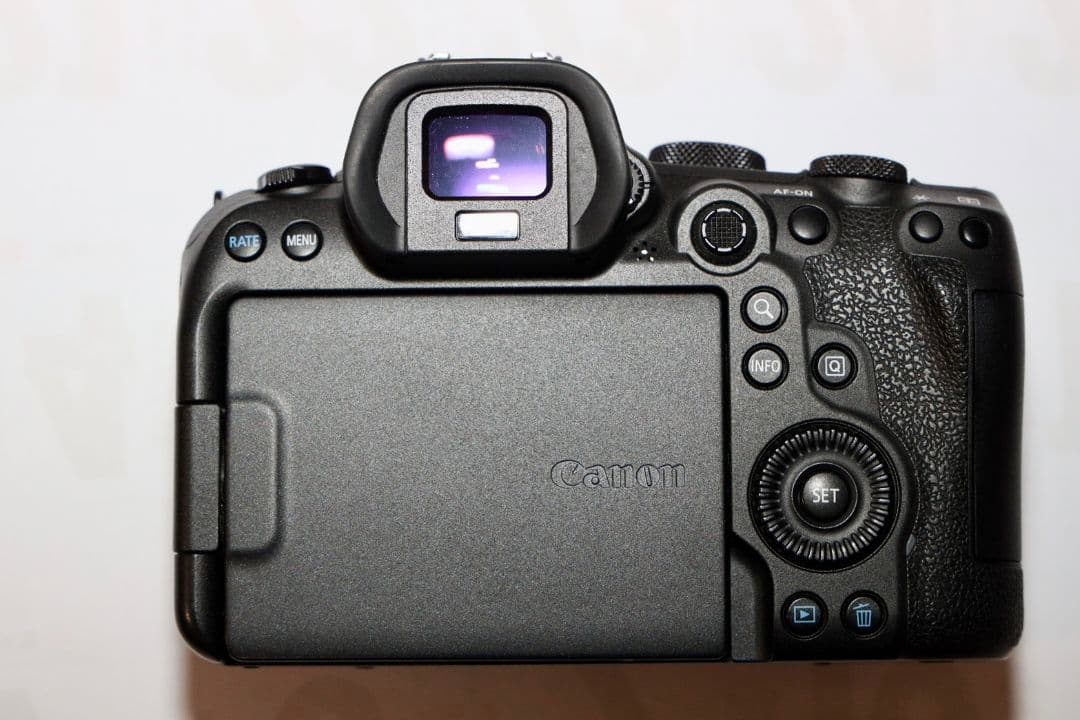 Canon EOS R6 ミラーレス一眼 本体　付属品