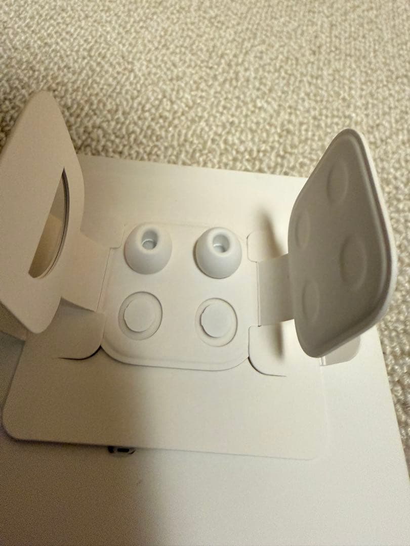 Apple AirPods Pro2 (USB-C)美品