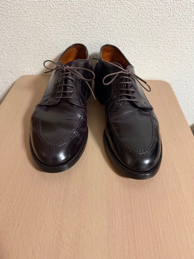 超希少！ALDEN Anatomica 5610 シェルコードバン