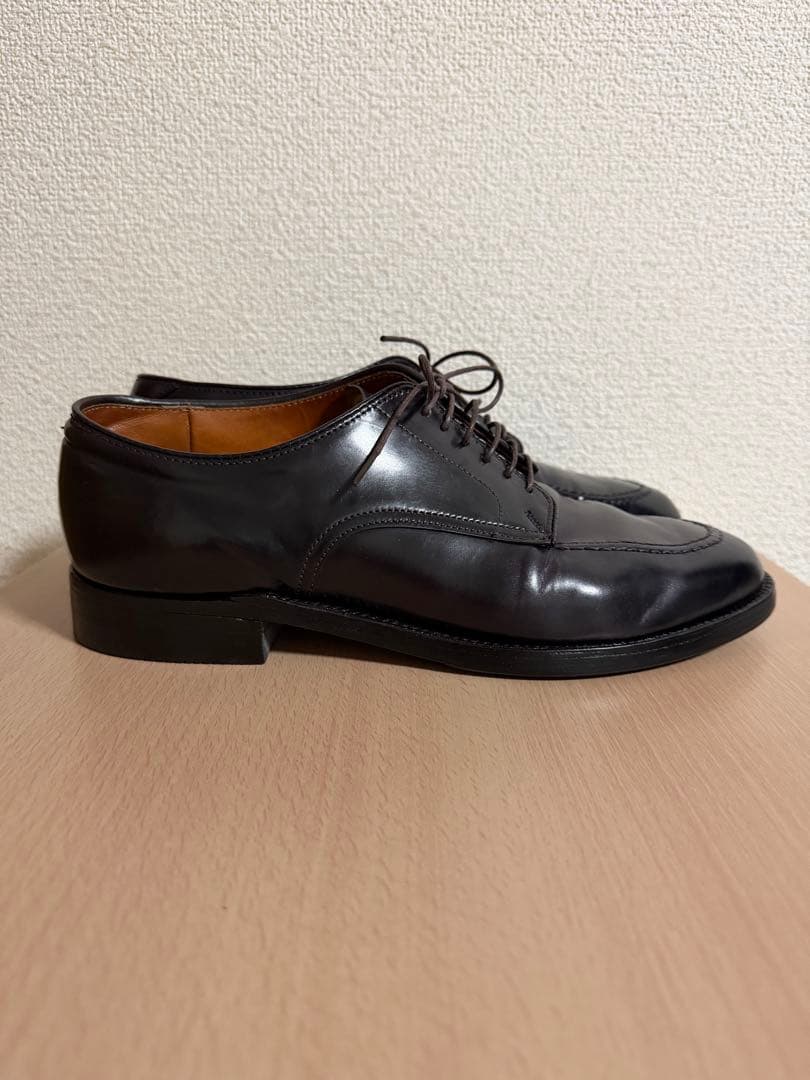 超希少！ALDEN Anatomica 5610 シェルコードバン