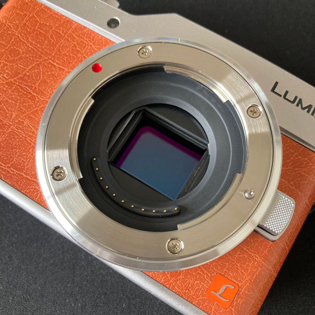 【美品】Panasonic Lumix DC-GF9 ミラーレスカメラ