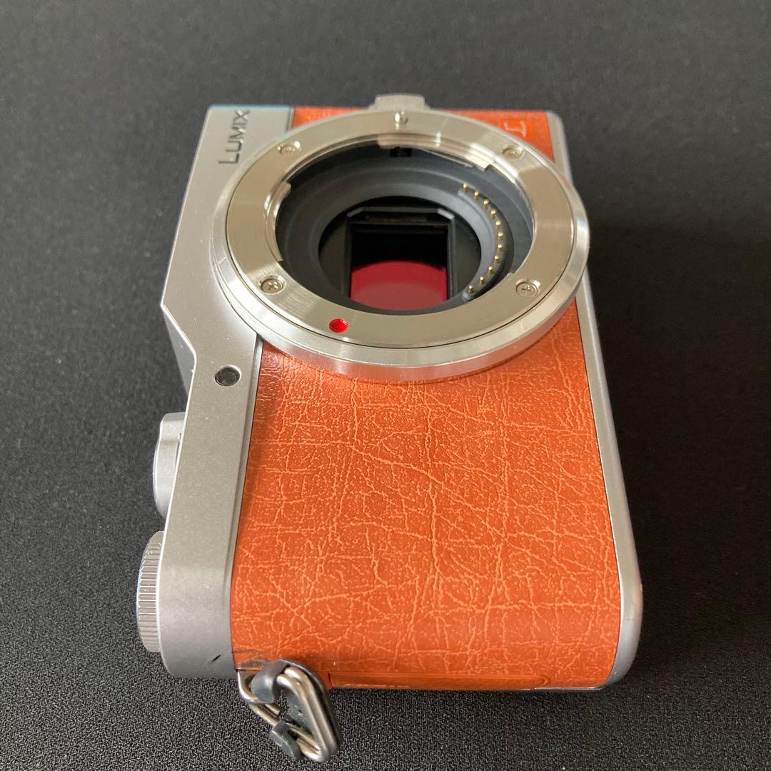 【美品】Panasonic Lumix DC-GF9 ミラーレスカメラ