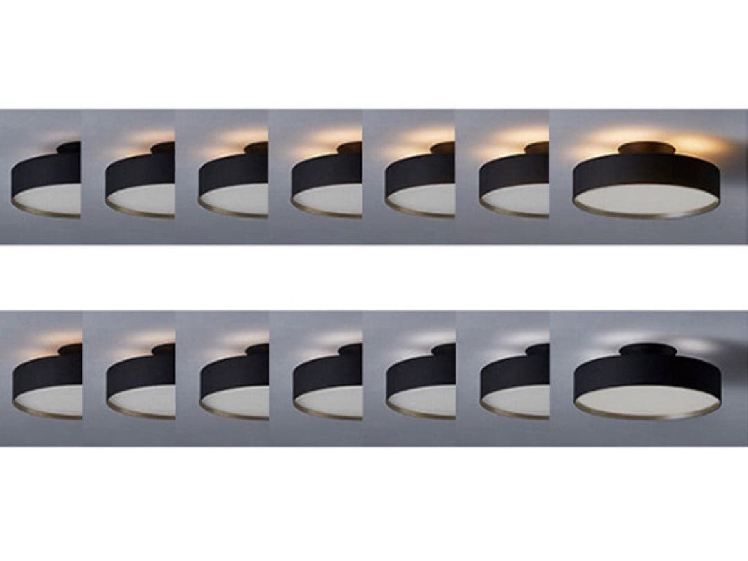 FLYMEe Noir フライミーノワール/ LED Ceiling Lamp