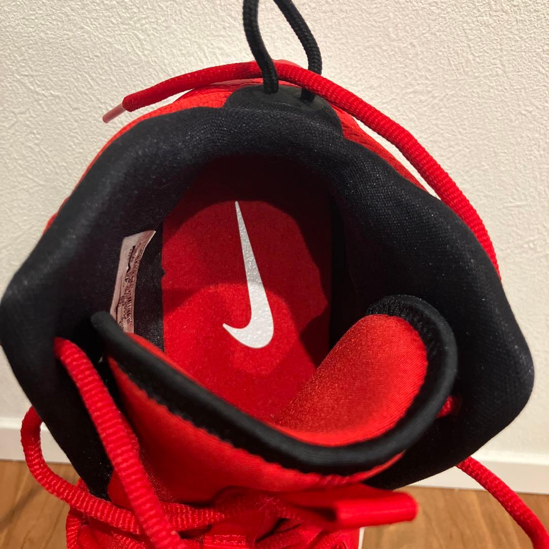 美品、希少！Nike Hyperdunk X TB (AR0467-600)