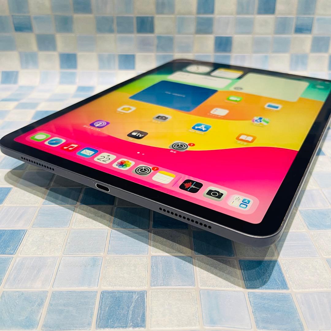Wi-Fi iPad Pro 11 第1世代 本体 256GB グレイ 電池良好