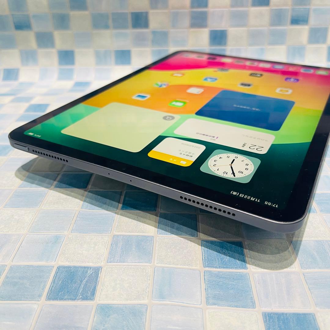Wi-Fi iPad Pro 11 第1世代 本体 256GB グレイ 電池良好