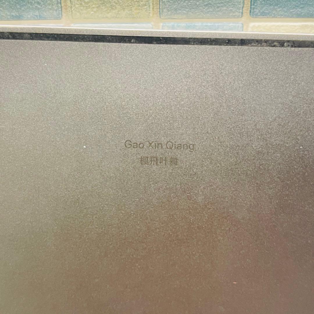 Wi-Fi iPad Pro 11 第1世代 本体 256GB グレイ 電池良好