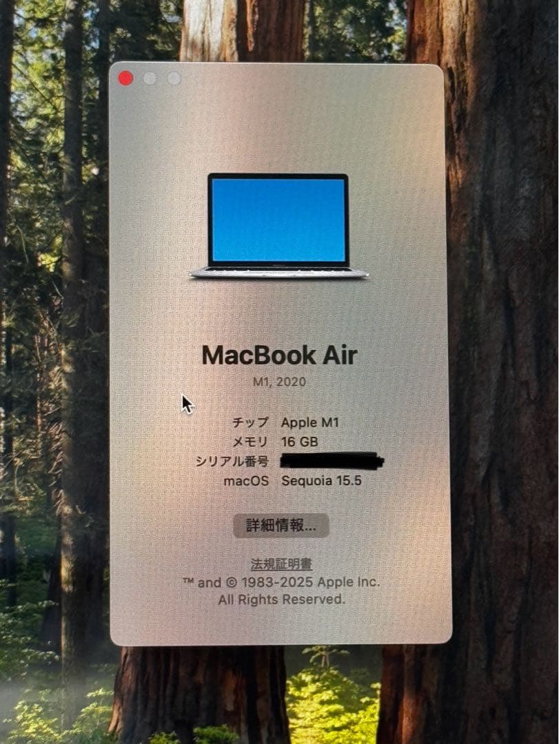 Apple MacBook Air (M1, 2020) 本体　日本語版