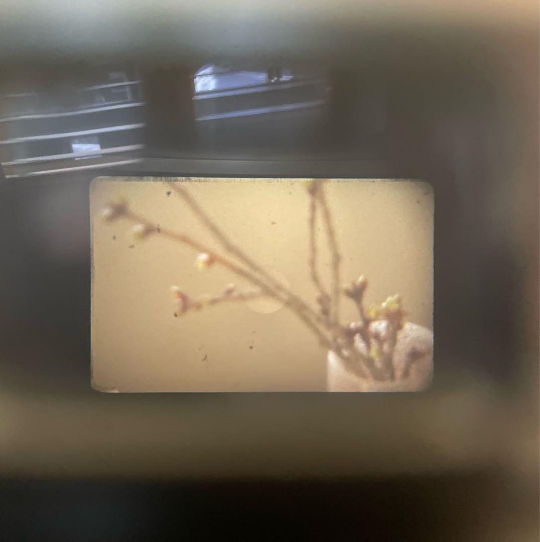 TOPCON フィルムカメラ Topcon SEIKOSHA-SLV 東京光学