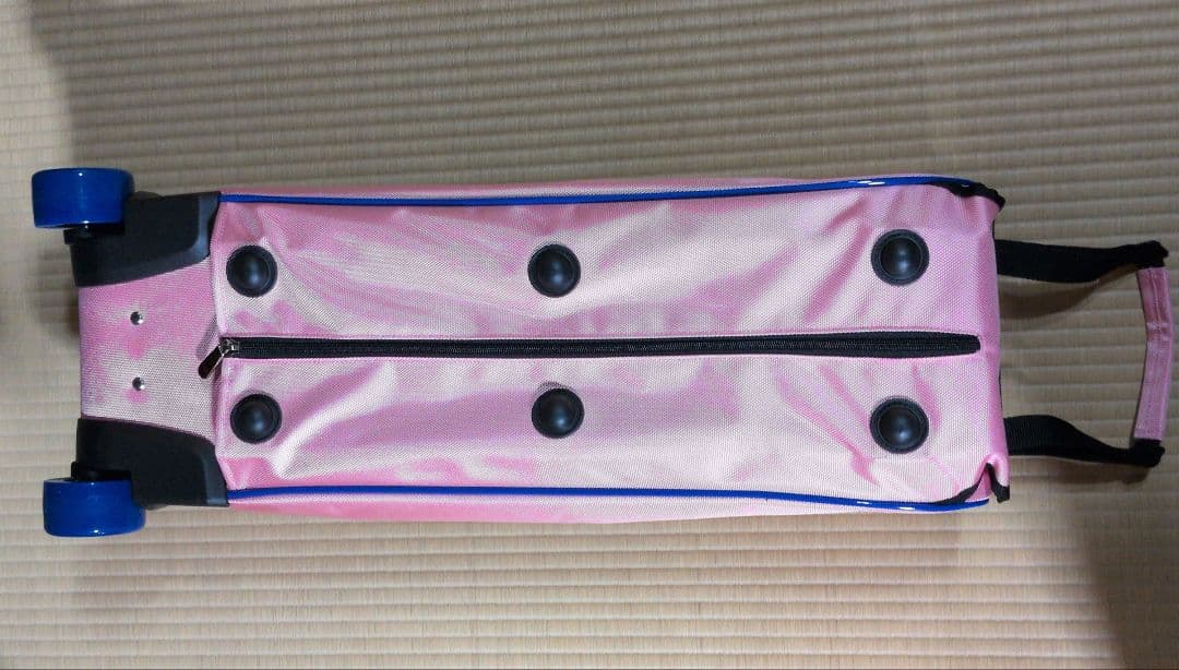 ブランズウィック ボウリングバッグ 3個バッグ