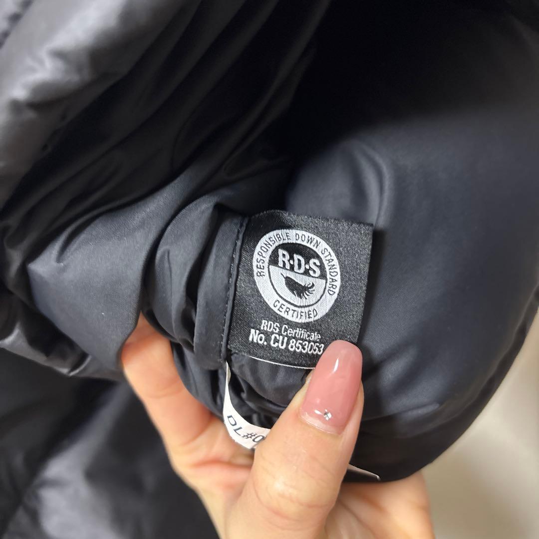 ノースフェイス ダウンジャケット エコヌプシ