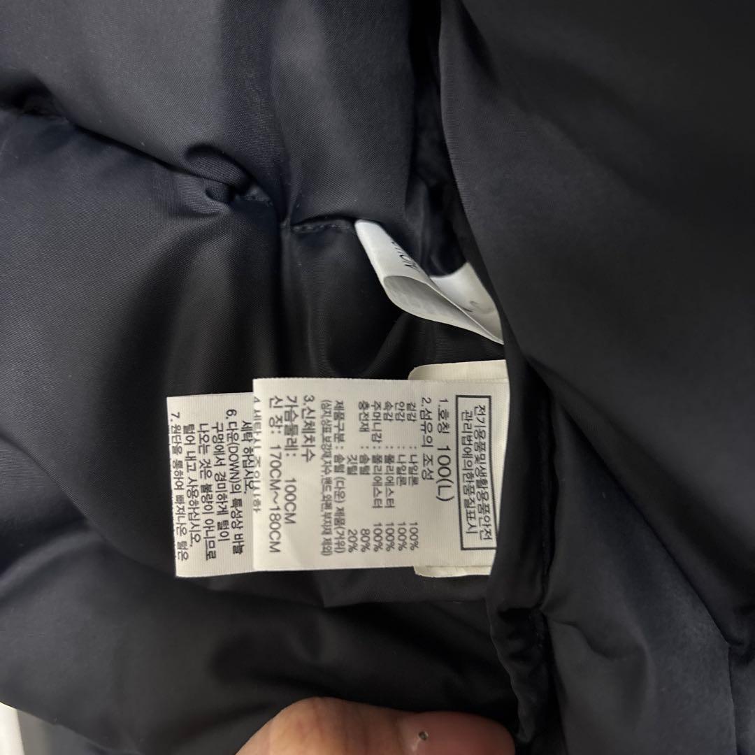 ノースフェイス ダウンジャケット エコヌプシ