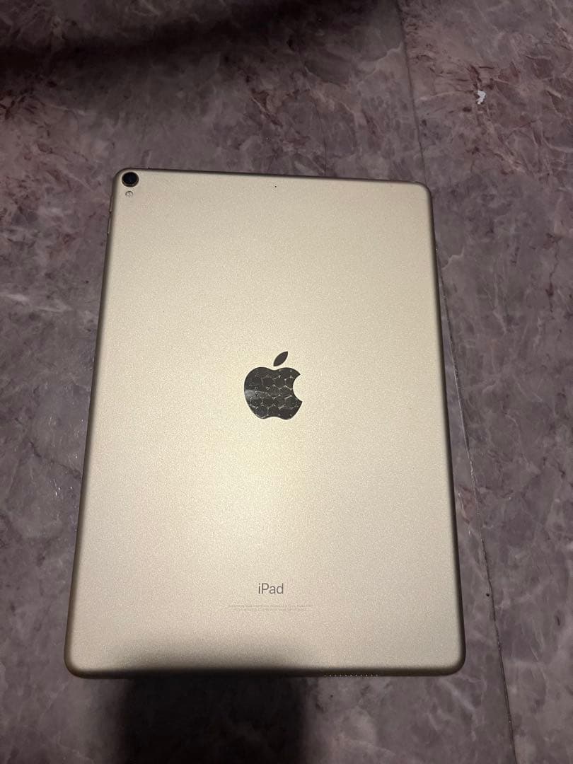 【*✨様 iPad Pro10.5インチWi-Fiモデル 256GBゴールド＋P