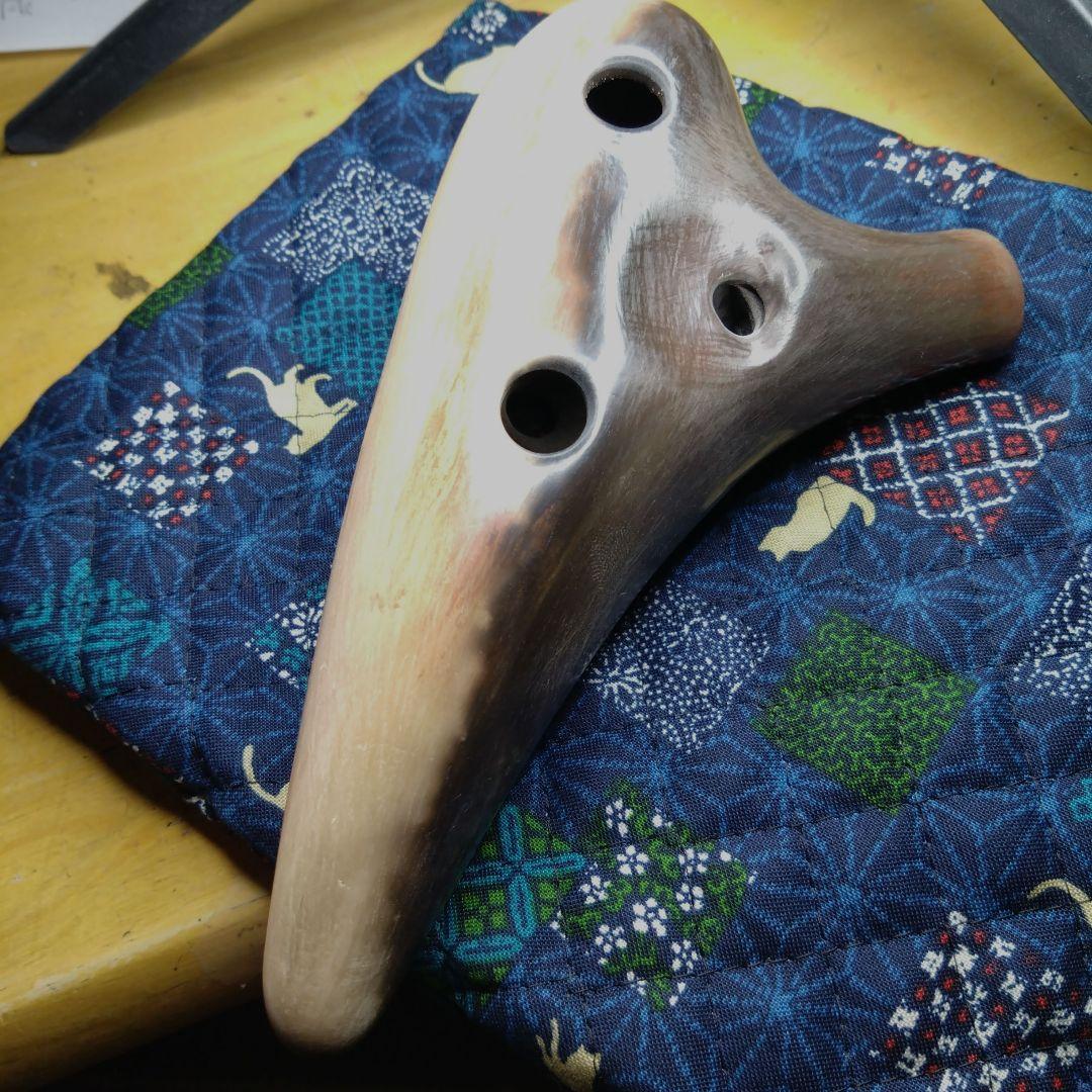 pietaokarinaPremiumⅣC