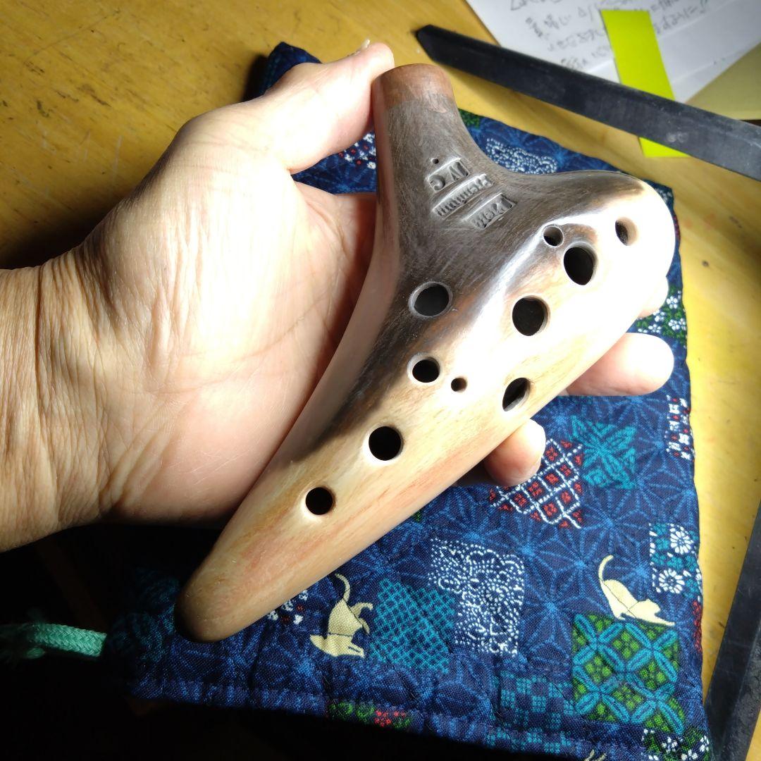 pietaokarinaPremiumⅣC