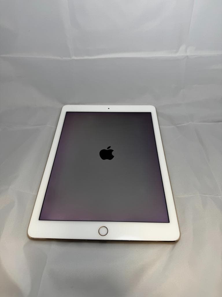【年内売切】iPad Pro 9.7 256GB Cellular+ペン