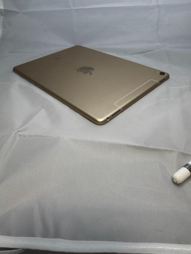 【年内売切】iPad Pro 9.7 256GB Cellular+ペン