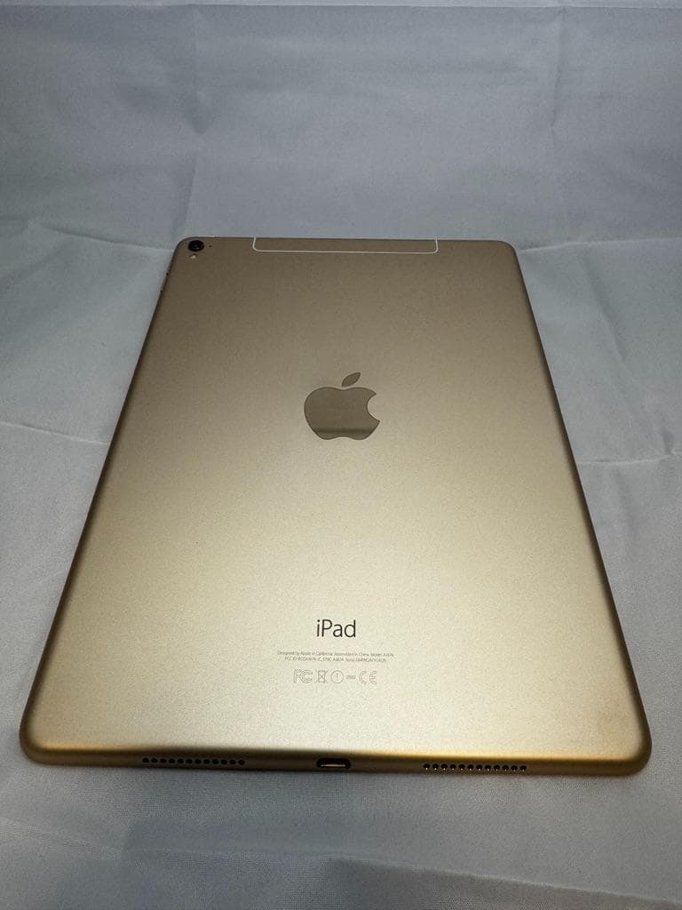 【年内売切】iPad Pro 9.7 256GB Cellular+ペン