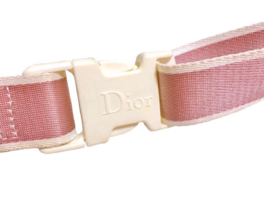 値下げ【希少廃盤‼️】Diorディオール トロッターNo2 ボディ バッグ ピンク