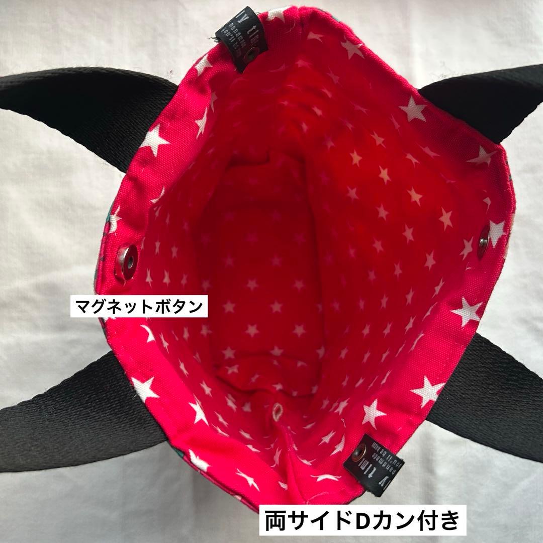 ハンドメイド　コヤンイサムチョン　リトルバレリーナ　ランチトートバッグ❣️