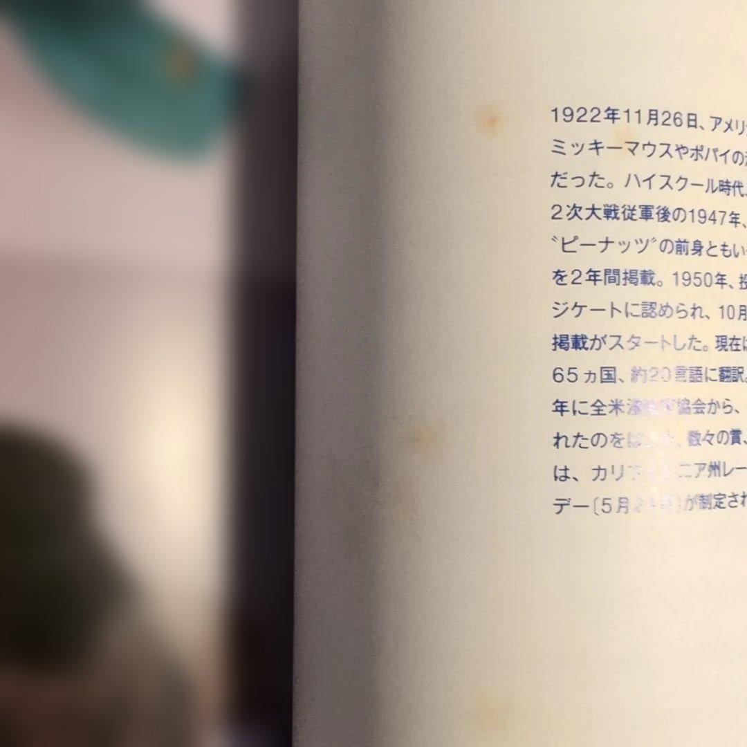 スヌーピーインファッション 写真集 SNOOPY IN FASHION 初版