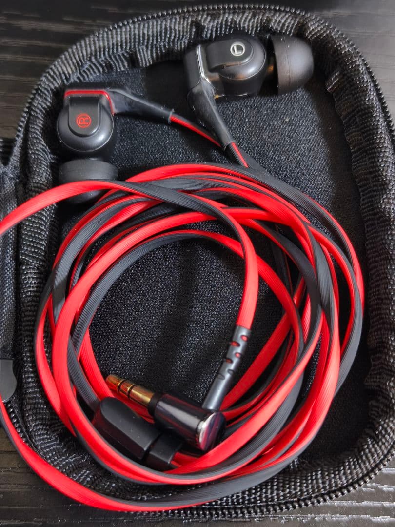 SONY ソニー XBA-H1 有線イヤホン