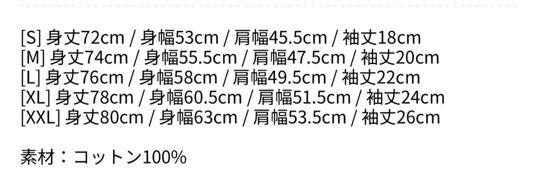 LADY GAGA 2026年コンサート Tシャツ サイズS レディー ガガ