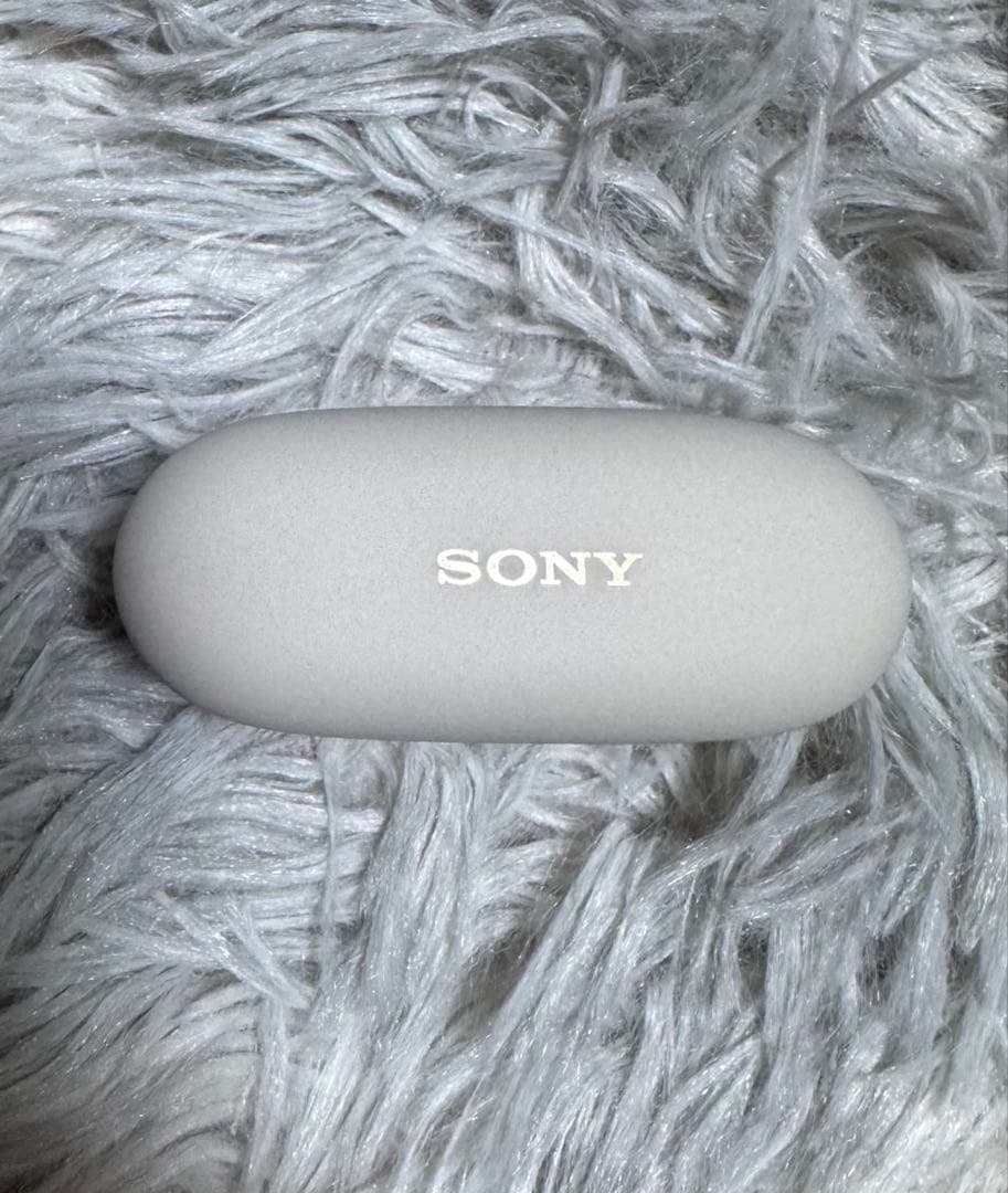 wf-1000xm5 プラチナシルバー 充電ケースのみ