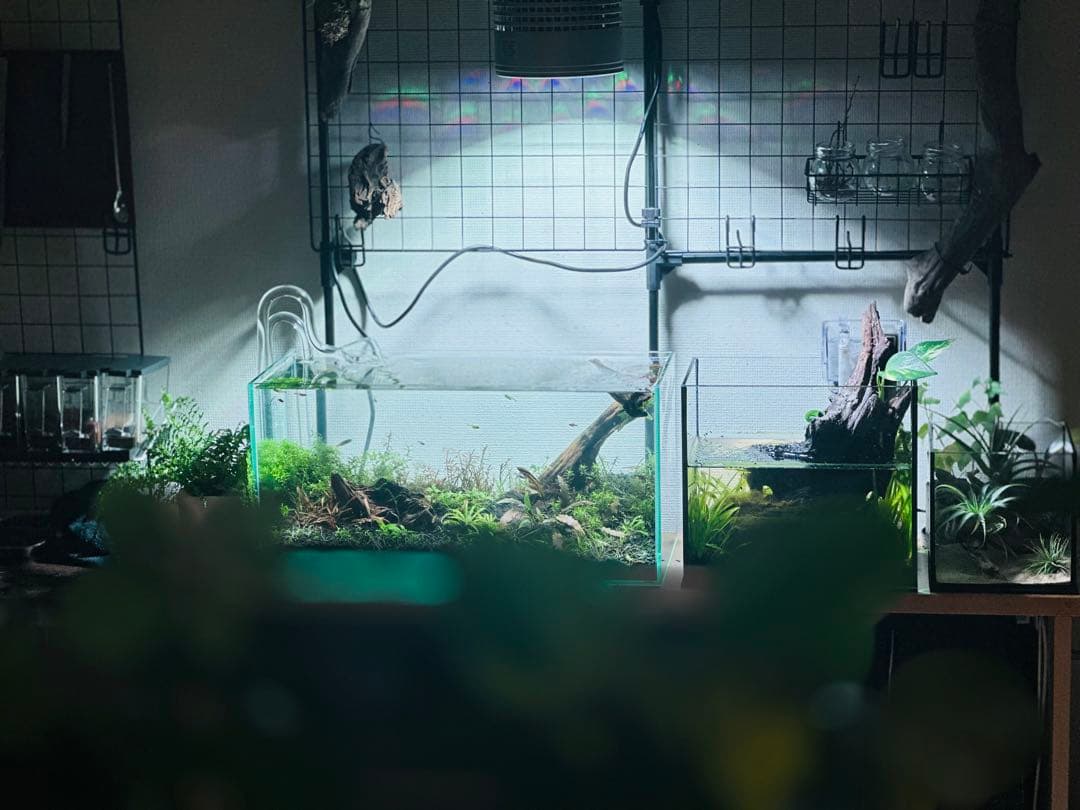 【調光・スケジュール管理】RBGスポットライト